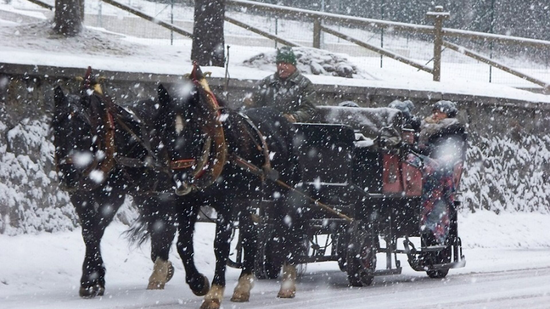 in carrozza alpi giulie chalet resort